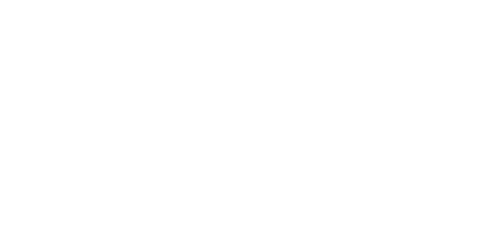 Sixes-social-cricket 
